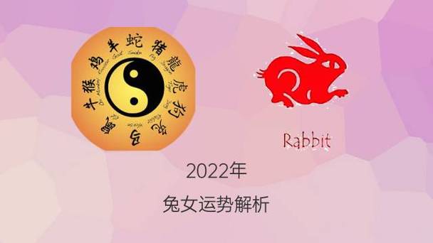 属兔的2022年11月婚姻运如何