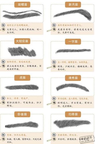 一字眉面相算命图解大全