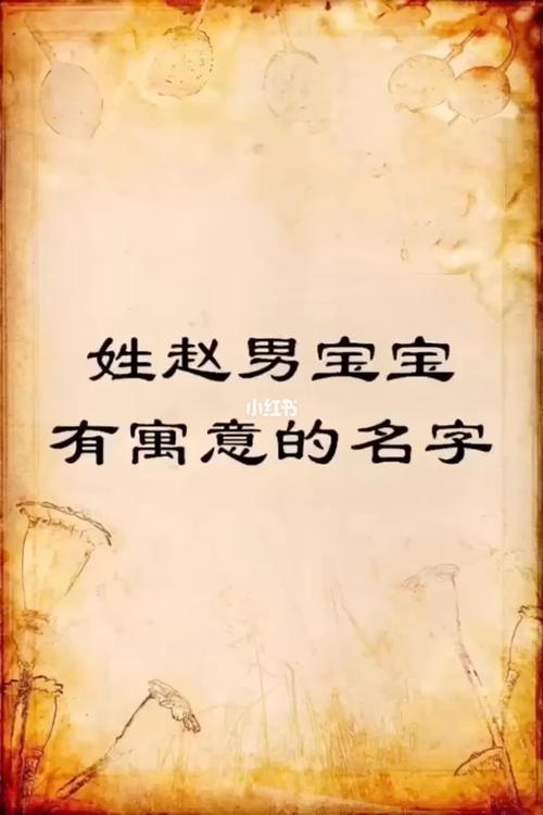 女孩姓赵猪宝宝取名大全,赵姓女孩好名字精选!
