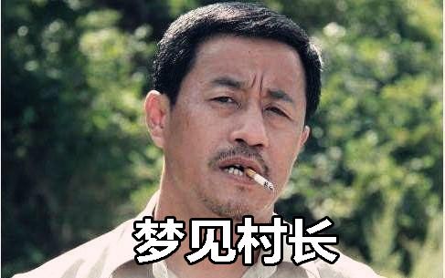 梦见村长怎么回事