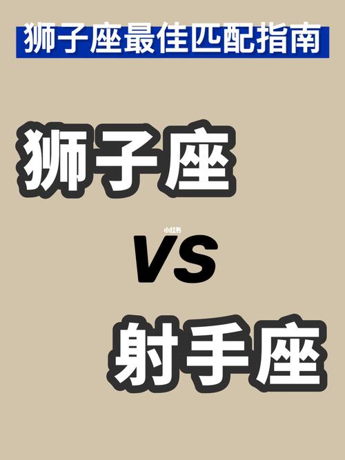 狮子座和射手座合适吗