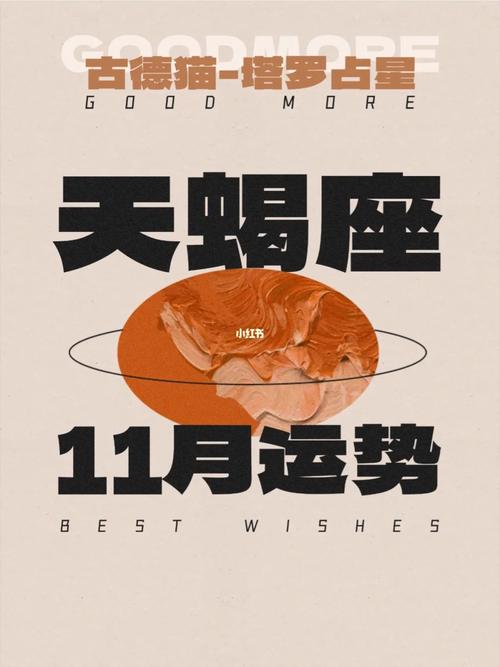 天蝎座惨被11星座黑