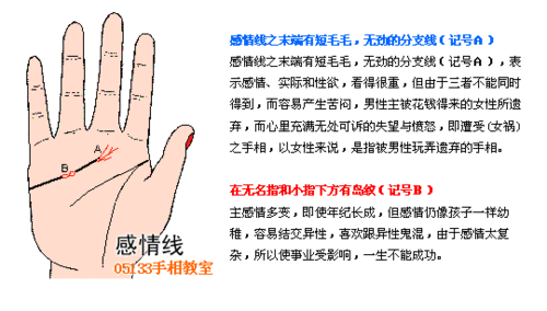 一分钟教你看懂自己的婚姻线