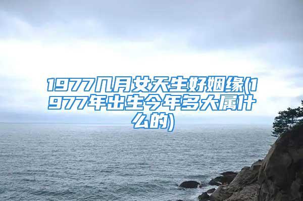 1978几月女天生好姻缘