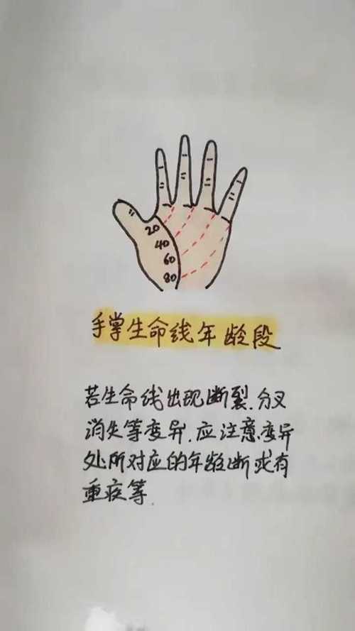 为什么说生命线是生命力的象征?