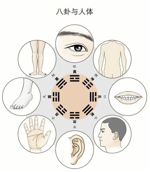 紫微斗数之八卦万物类象:坎卦详解