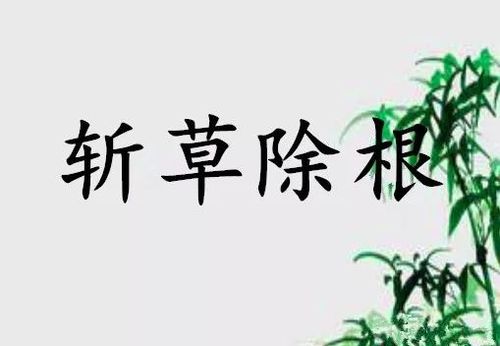 斩草除根打一生肖