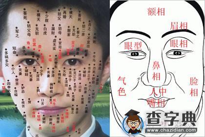 男性面相算命图解大全哪些男人富贵