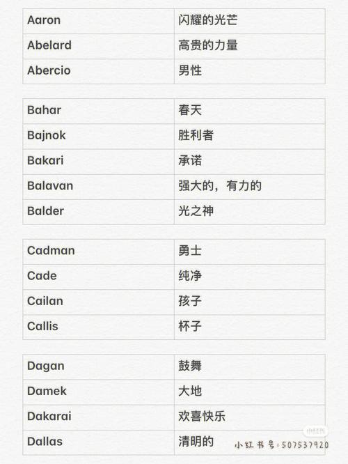 男生好听的英文名字带乐字