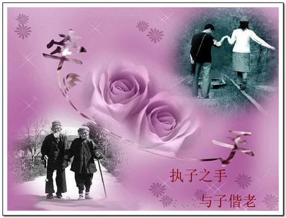 用情专一的八字,执子之手,与子偕老
