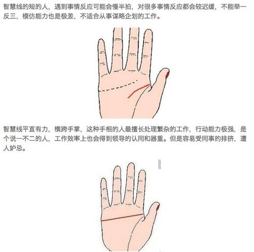 哪些手相特征代表拥有高智商聪明