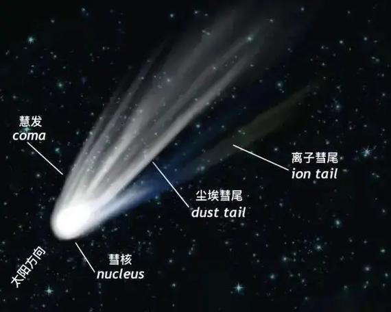 几月出生的是扫把星