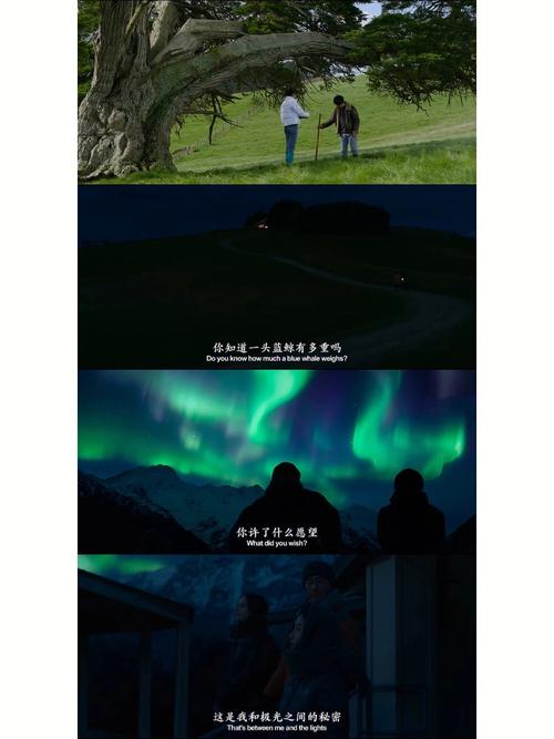 梦见鲸鱼什么意思