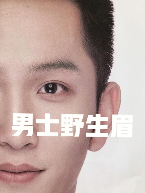 眉毛浓的男人代表什么含义(解析)