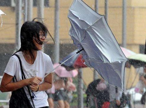 梦见雨伞破了预示着什么