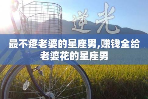 不赚钱总是凶老婆的星座男