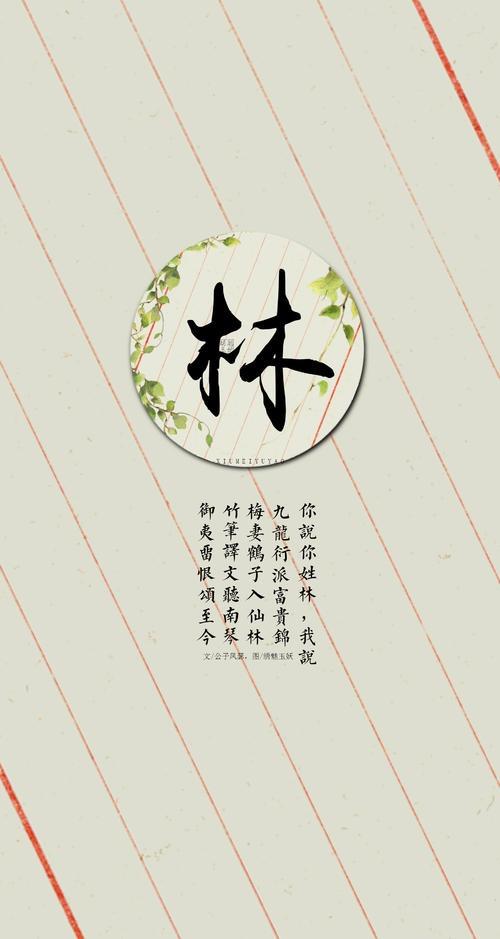 林姓姓名-姓名评分:林恩希