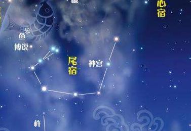 6,尾宿 (尾火虎)