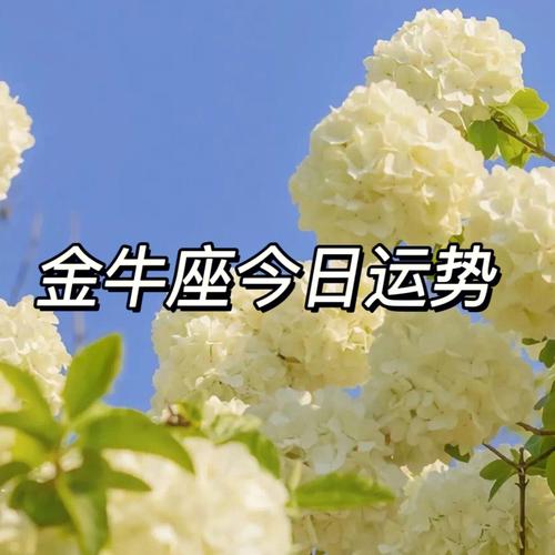 金牛座7月星座运势