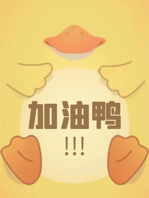 4月起,好运会与这些生肖君不期而遇