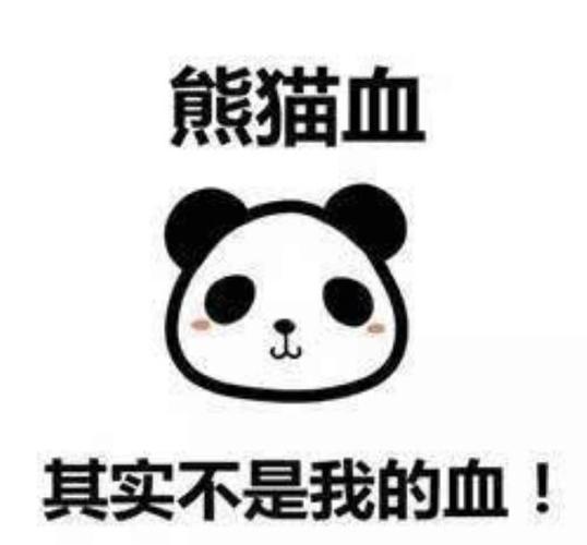 熊猫血的人特别聪明