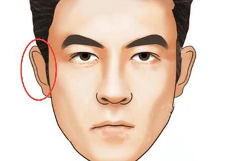 耳朵小的男人的命运怎么样