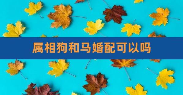 2021年属马人和属狗的生的宝宝缘分好吗