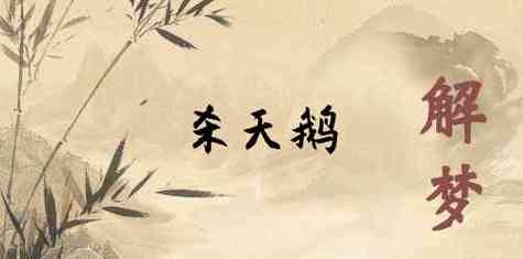 梦见杀天鹅