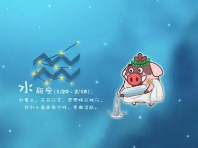 AB型血水瓶座的职业方向