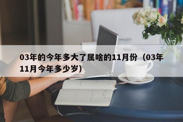 03年今年多少周岁