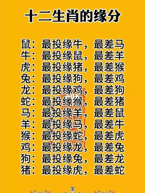 与12生肖最投缘的生肖