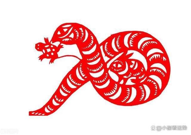 生肖蛇2021年感情运势详解