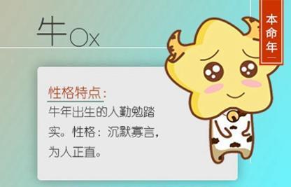 1973年的属牛人本命年要注意哪些禁忌