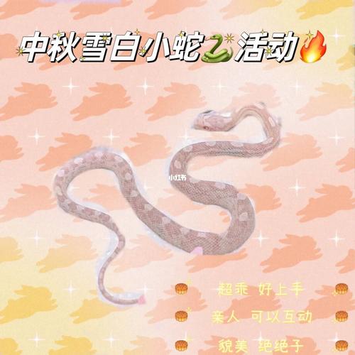 生肖蛇中秋出游最强攻略
