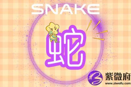 属蛇男喜欢拿你开玩笑