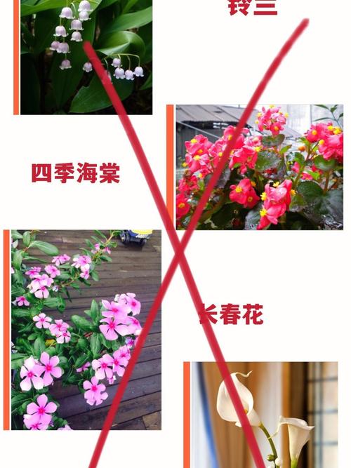 如同中毒,这些生肖让你离不开他