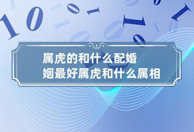 属虎的人和什么属相的夫妻最配