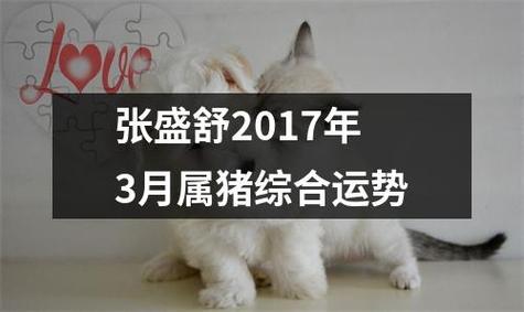 张盛舒生肖猪2018年3月运势