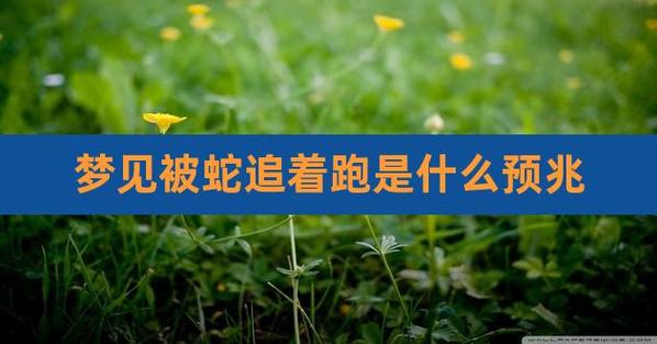 梦见蛇跑到自己身上来了是什么预兆