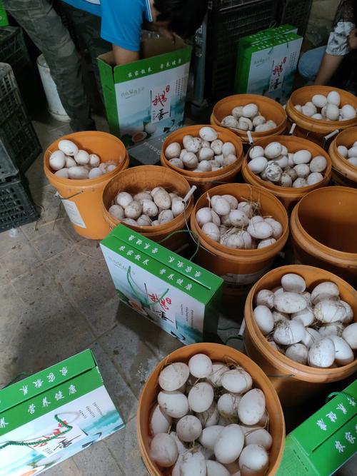 做梦捡鹅蛋什么意思