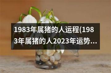 1983年属猪女性2021年运势