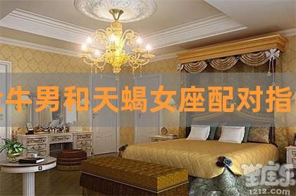 男金牛座三区和女天蝎射手座配对