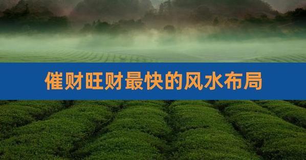 旺财旺事业的家居风水提点