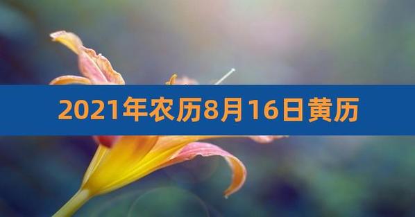 老黄历2023年8月黄道吉日