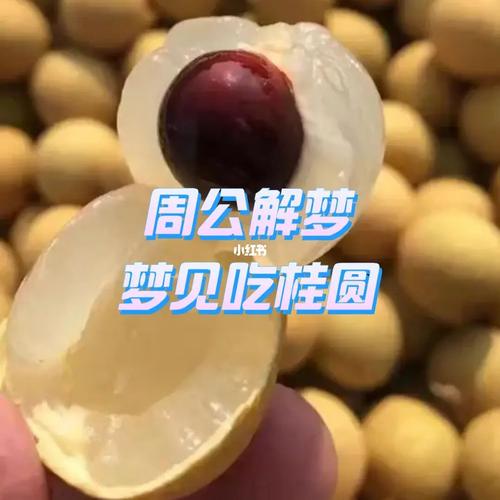 梦见桂圆周公解梦，梦见桂圆是什么意思？