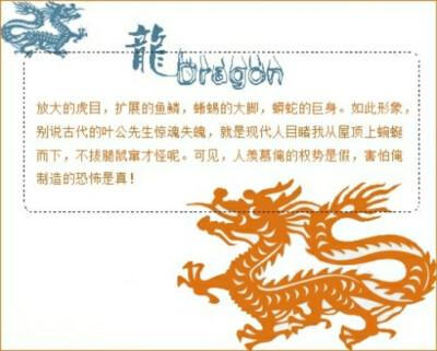 龙的文化趣谈