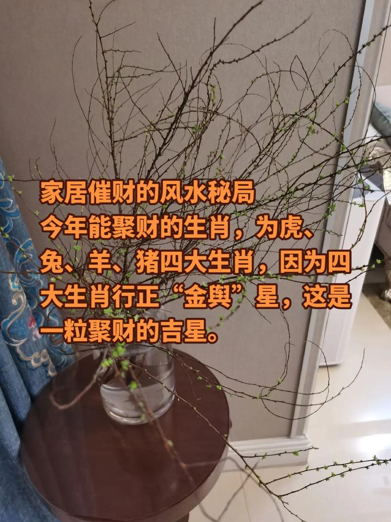 怎么样才能催财运
