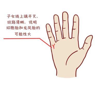 从哪里能看出子女运