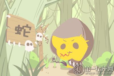 属蛇一生中最大的追求是什么