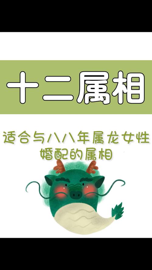 龙的婚配属相是谁